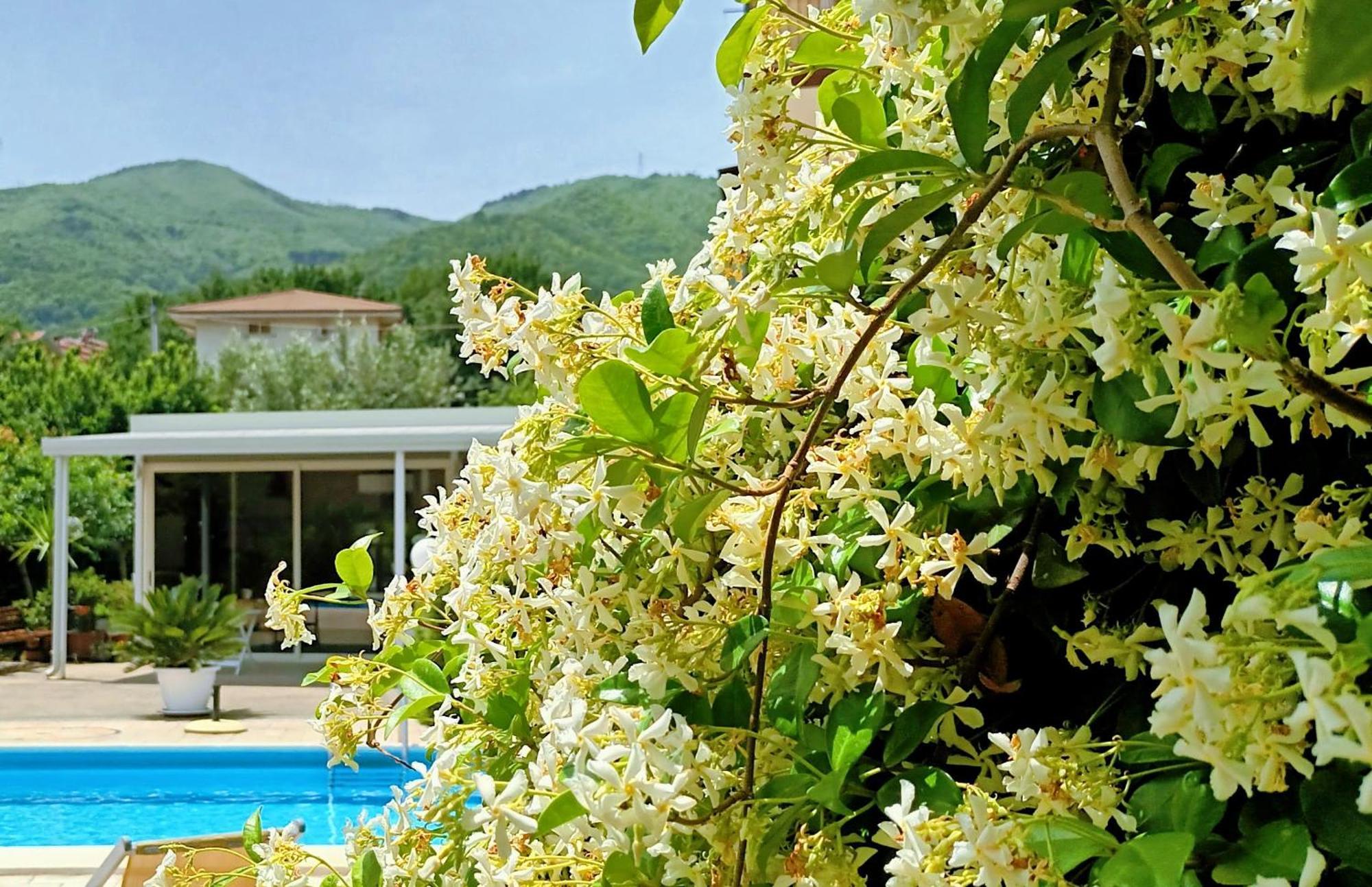 La Residenza Del Marchesato Bed and Breakfast Marano Marchesato Buitenkant foto
